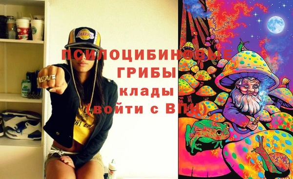 дмт Абинск