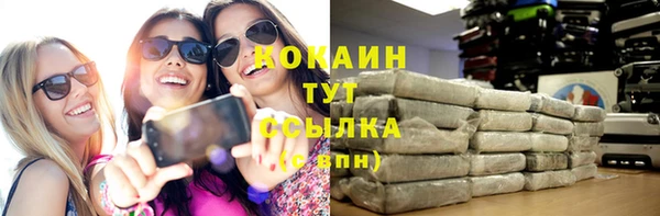 шишки Абаза