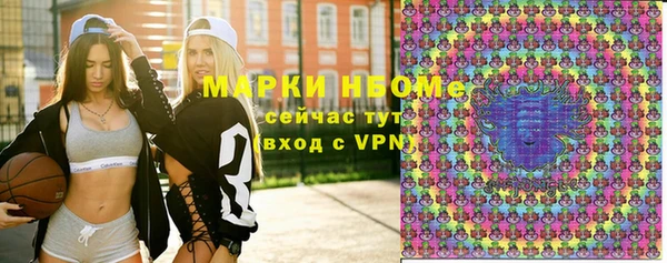 шишки Абаза