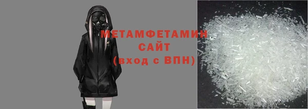 шишки Абаза