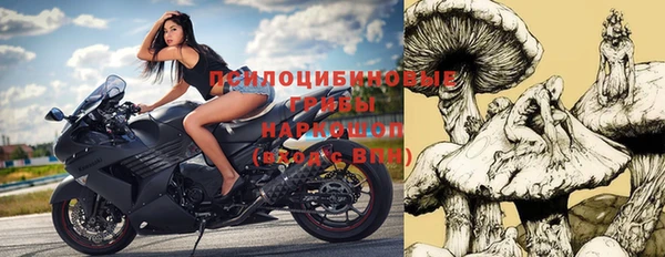 шишки Абаза