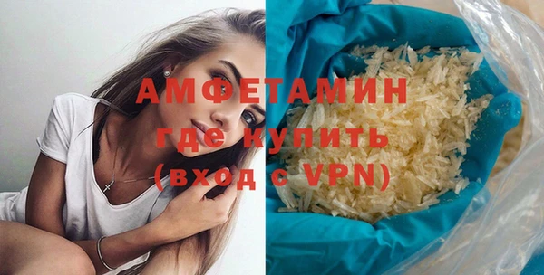 шишки Абаза