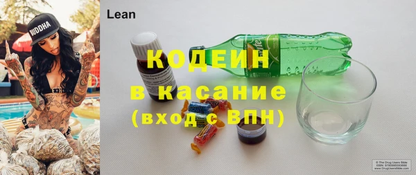 шишки Абаза