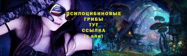 дмт Абинск