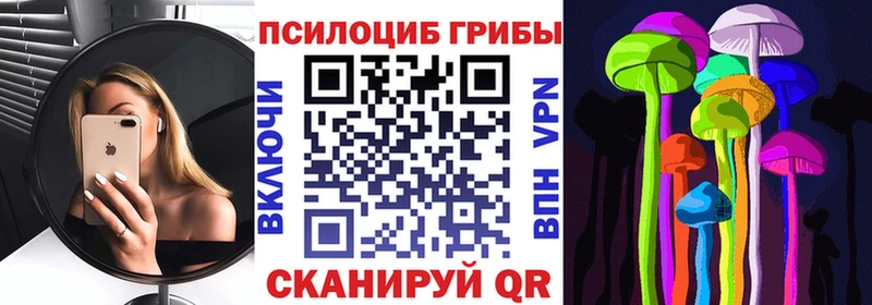 как найти   Кингисепп  Галлюциногенные грибы мухоморы 
